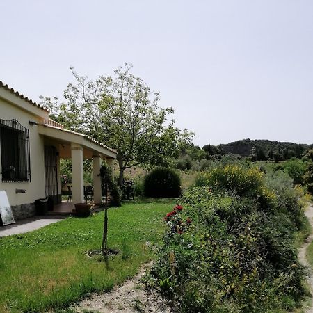 S'Orrosa Casa Vacanze Bifamiliare In Montagna Panorama Stupendo Sardegna Seùlo Exteriér fotografie