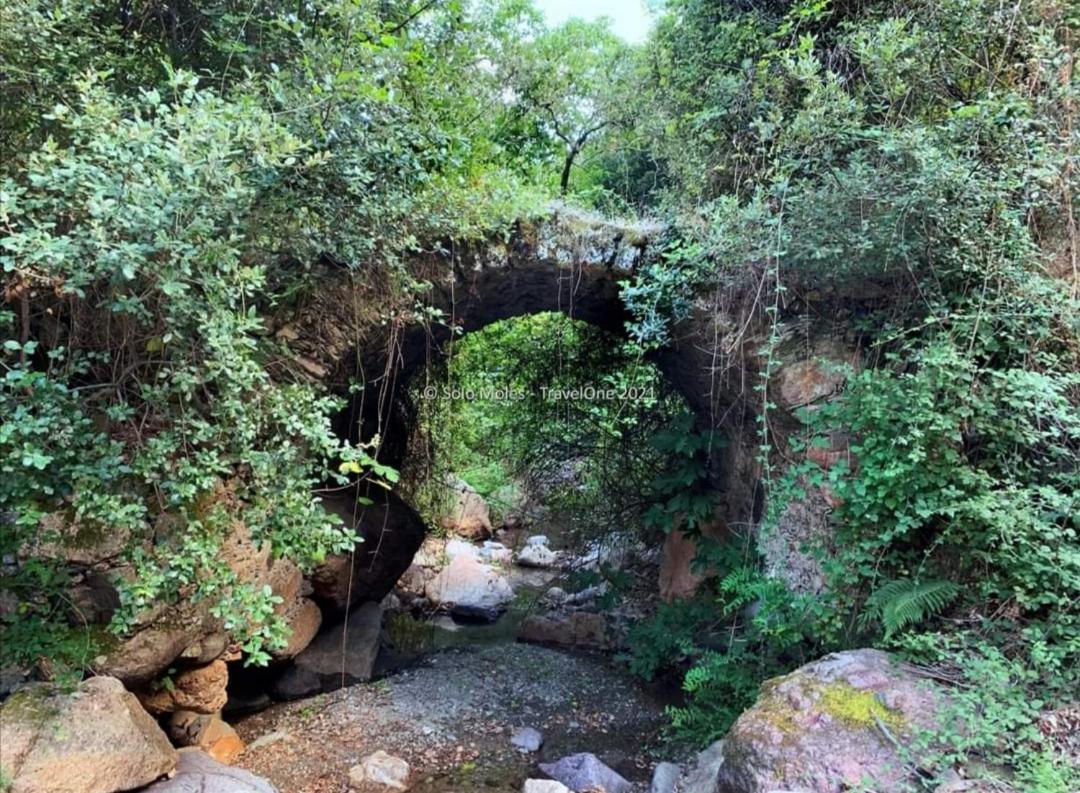 S'Orrosa Casa Vacanze Bifamiliare In Montagna Panorama Stupendo Sardegna Seùlo Exteriér fotografie