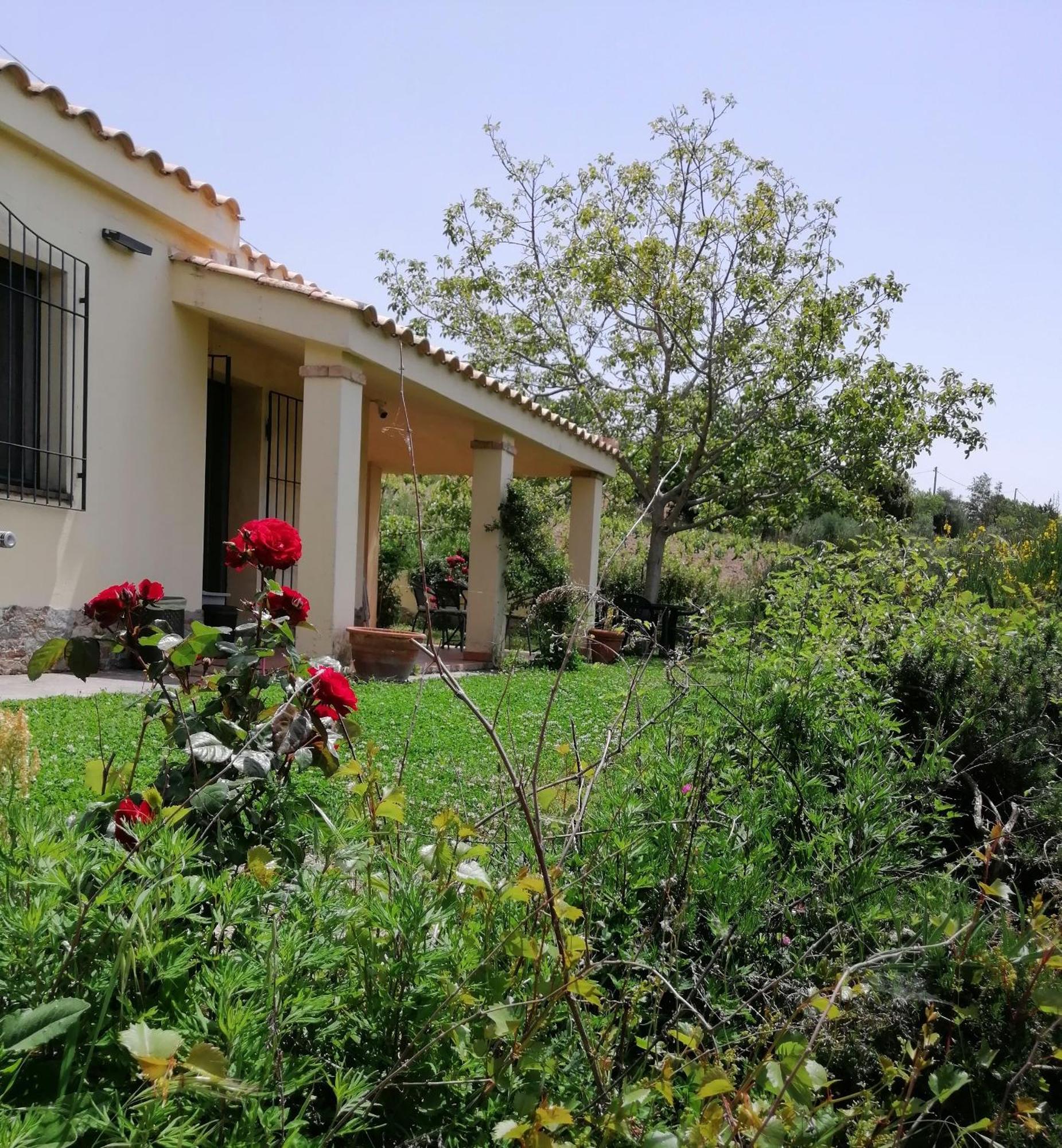 S'Orrosa Casa Vacanze Bifamiliare In Montagna Panorama Stupendo Sardegna Seùlo Exteriér fotografie