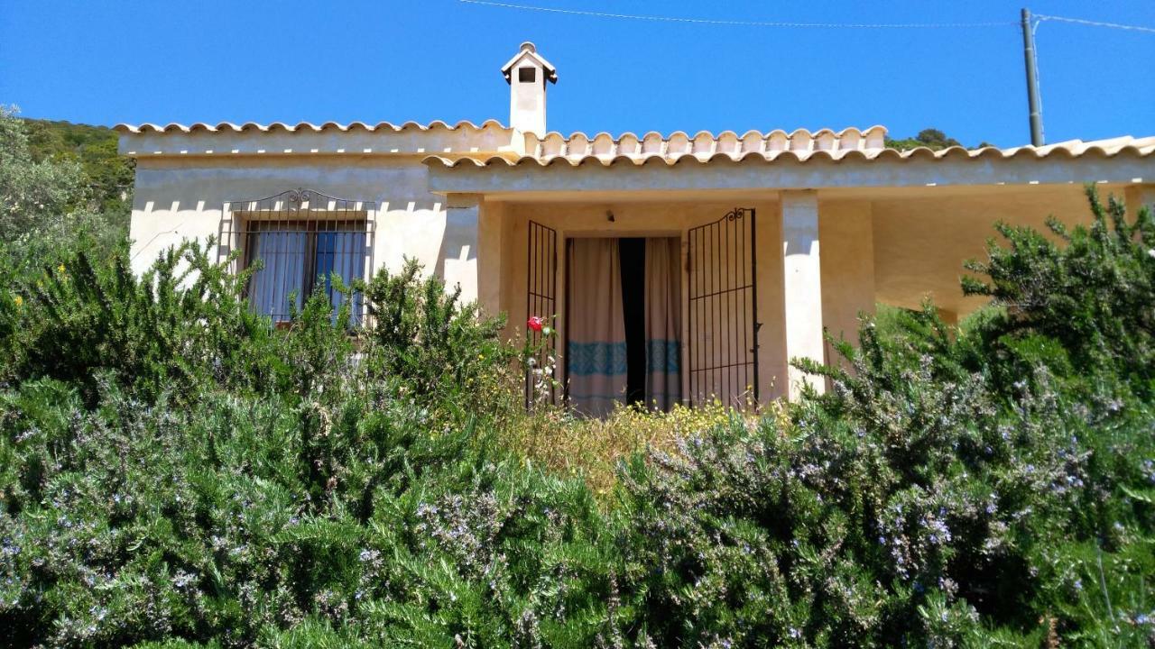 S'Orrosa Casa Vacanze Bifamiliare In Montagna Panorama Stupendo Sardegna Seùlo Exteriér fotografie