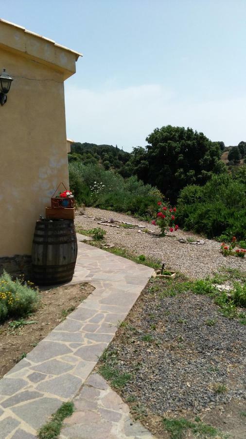 S'Orrosa Casa Vacanze Bifamiliare In Montagna Panorama Stupendo Sardegna Seùlo Exteriér fotografie