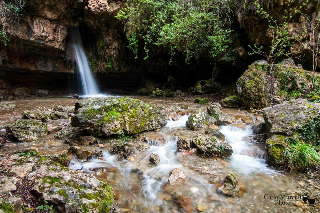 S'Orrosa Casa Vacanze Bifamiliare In Montagna Panorama Stupendo Sardegna Seùlo Exteriér fotografie