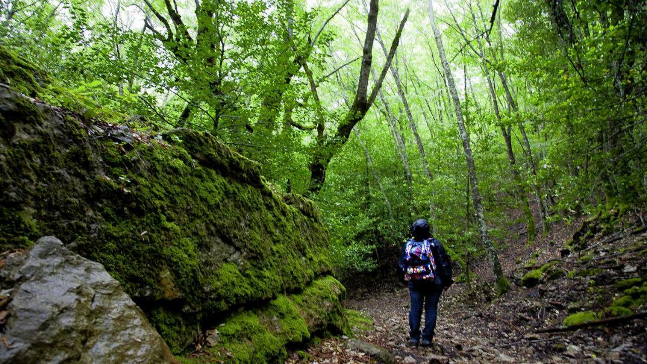S'Orrosa Casa Vacanze Bifamiliare In Montagna Panorama Stupendo Sardegna Seùlo Exteriér fotografie
