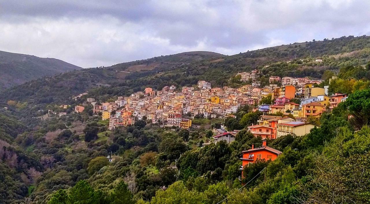 S'Orrosa Casa Vacanze Bifamiliare In Montagna Panorama Stupendo Sardegna Seùlo Exteriér fotografie