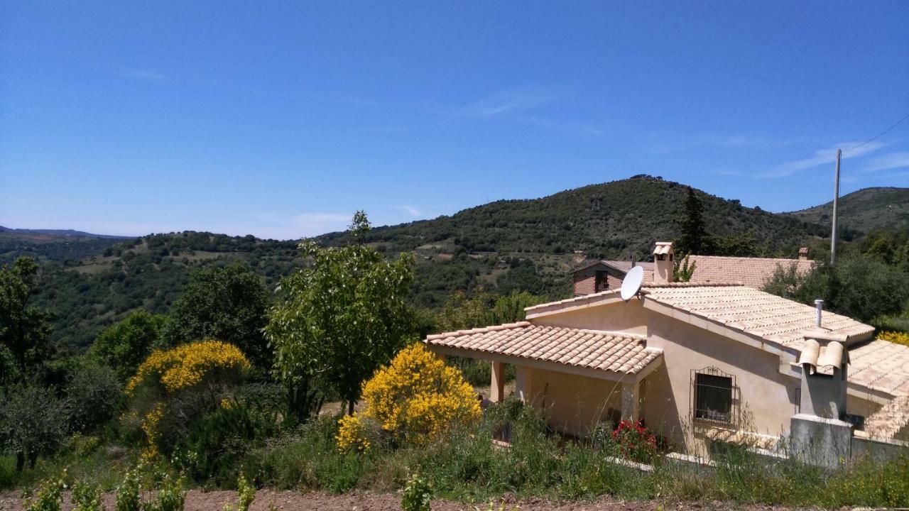 S'Orrosa Casa Vacanze Bifamiliare In Montagna Panorama Stupendo Sardegna Seùlo Exteriér fotografie